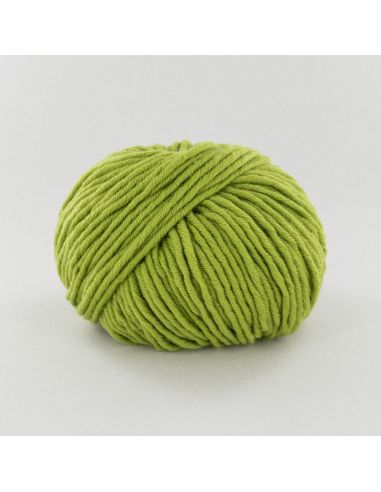 Pelote Fonty Felletin col 911 vert clair