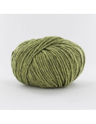 Pelote Fonty Mongolia 5 col 10 vert tendre