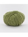 Pelote Fonty Mongolia 5 col 10 vert tendre