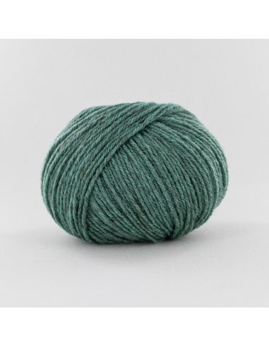 Pelote Fonty Nimbus col 712 cactus