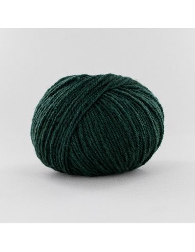 Pelote Fonty Nimbus col 715 vert