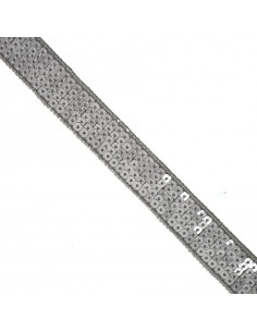 Galon à Paillettes 22mm Argent