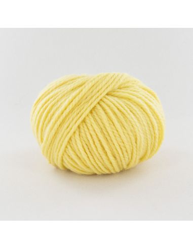 Pelote Fonty Numéro 5 col 251 jaune pâle
