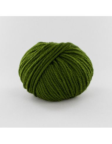 Pelote Fonty Numéro 5 col 270 vert mousse