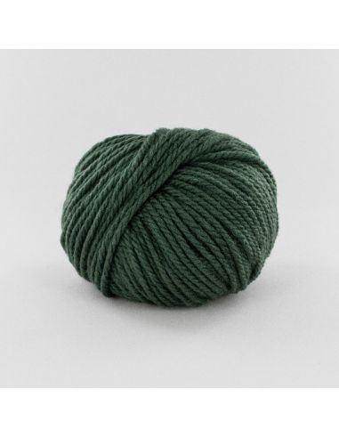 Pelote Fonty Numéro 5 col 235 vert jungle