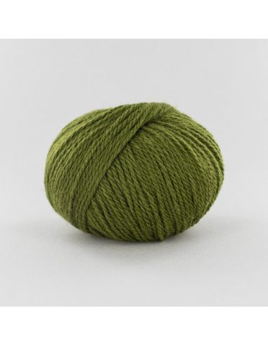 Pelote Fonty Polaire col 640 vert mousse