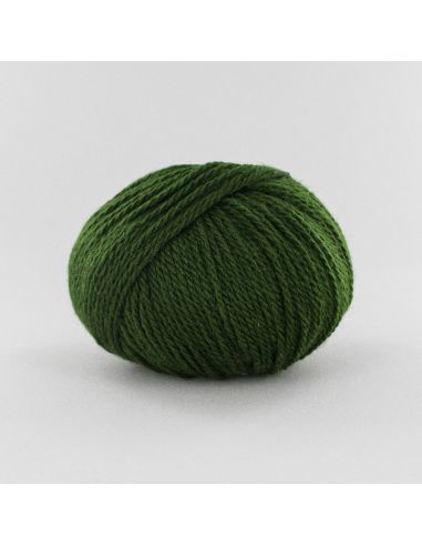 Pelote Fonty Polaire col 641 vert épinard