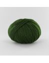 Pelote Fonty Polaire col 641 vert épinard