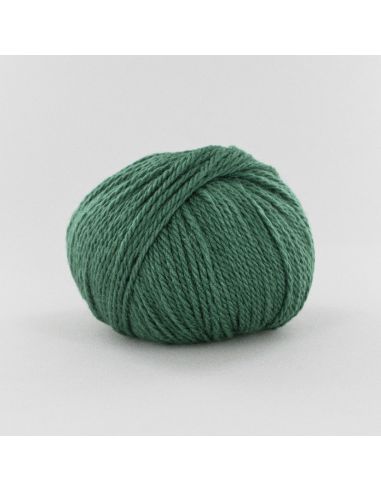 Pelote Fonty Polaire col 644 vert