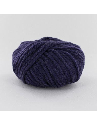 Pelote Fonty Polaire col 366 violet