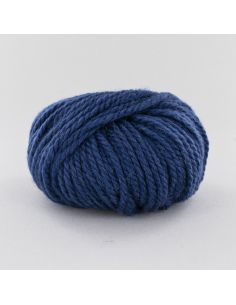 Pelote Fonty Polaire col 373 bleu roi