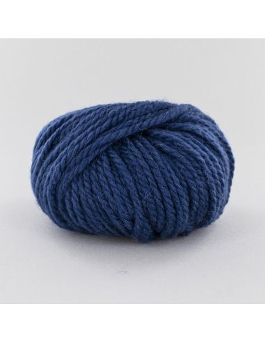 Pelote Fonty Polaire col 373 bleu roi