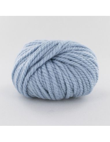 Pelote Fonty Polaire col 391 bleu ciel