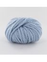 Pelote Fonty Polaire col 391 bleu ciel