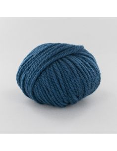 Pelote Fonty Polaire col 402 paon