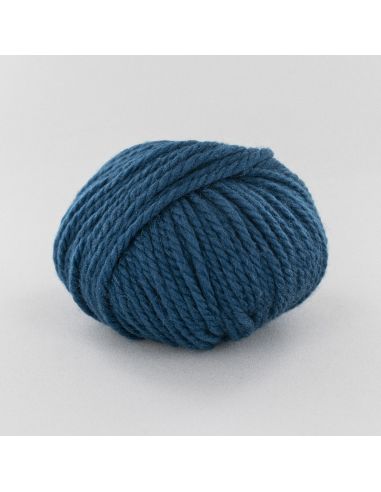 Pelote Fonty Polaire col 402 paon