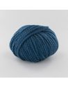 Pelote Fonty Polaire col 402 paon