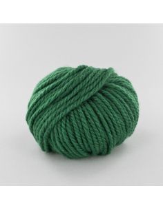 Pelote Fonty Polaire col 403 vert