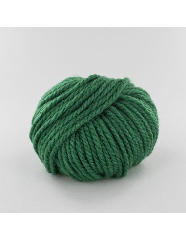 Pelote Fonty Polaire col 403 vert