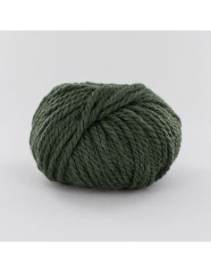 Pelote Fonty Polaire col 349 vert kaki