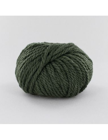Pelote Fonty Polaire col 349 vert kaki
