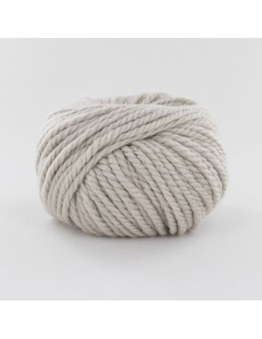 Pelote Fonty Polaire col 377 beige