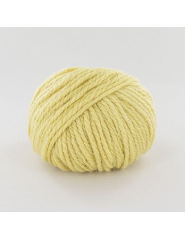 Pelote Fonty Polaire col 405 jaune pâle