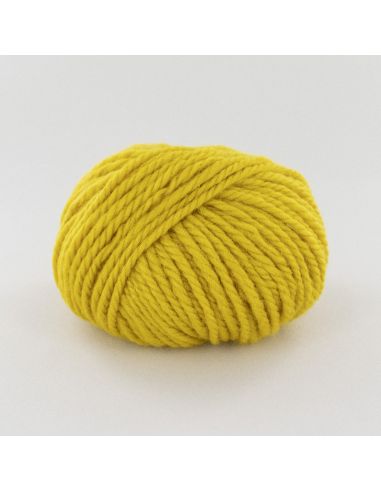 Pelote Fonty Polaire col 407 jaune soleil