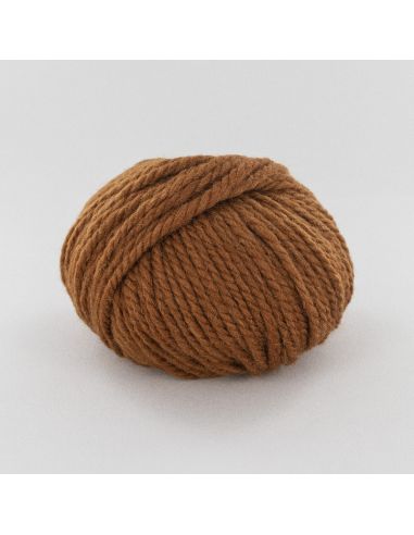 Pelote Fonty Polaire col 408 fauve
