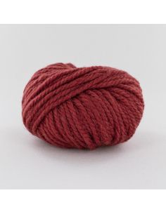 Pelote Fonty Polaire col 388 pastèque