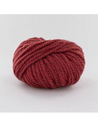 Pelote Fonty Polaire col 388 pastèque