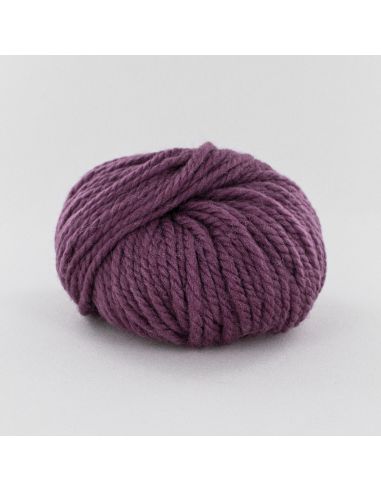 Pelote Fonty Polaire col 394 raisin
