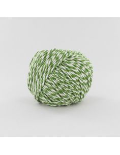 Pelote Fonty Scarlett col 5178 blanc-vert