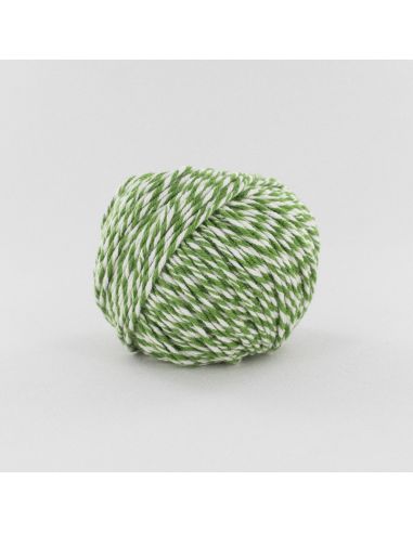 Pelote Fonty Scarlett col 5178 blanc-vert