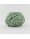 Pelote Fonty Soyeuse col 133 vert tendre
