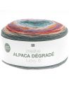 Pelote Creative alpaca dégradé lucky 8 automne