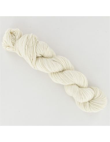 Écheveau à teindre Soyeuse