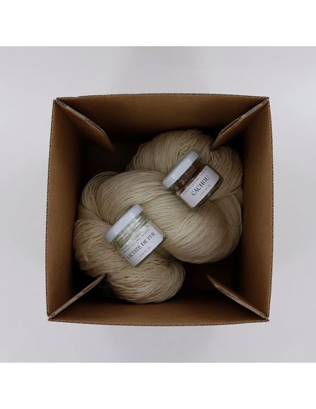 Kit de teinture végétale Cachou