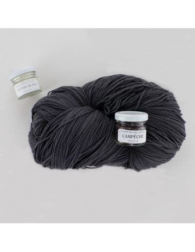 Kit de teinture végétale Campêche