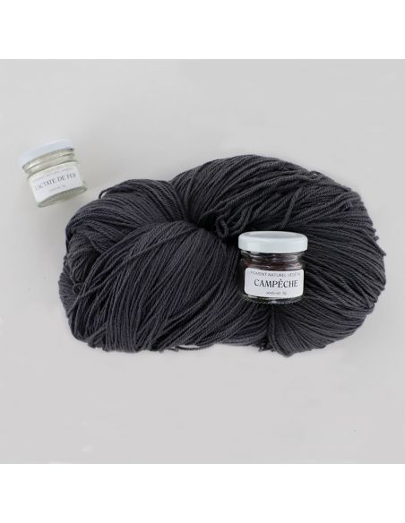 Kit de teinture végétale Campêche