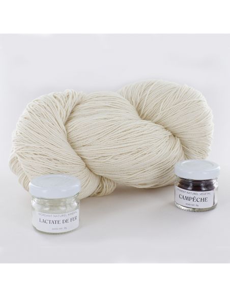 Kit de teinture végétale Campêche