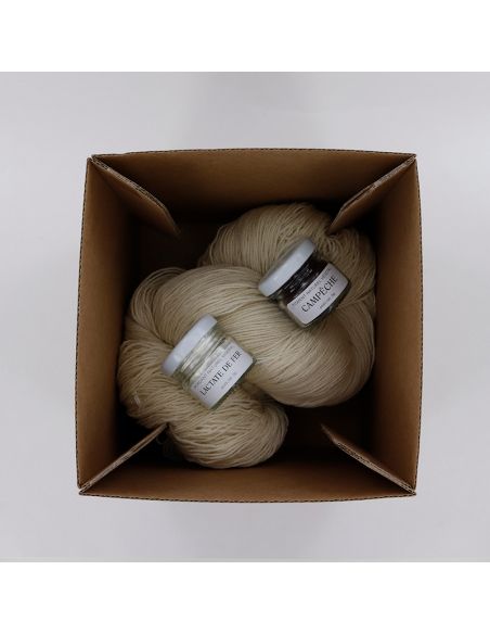 Kit de teinture végétale Campêche