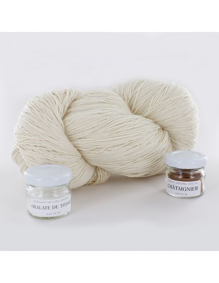 Kit de teinture végétale Châtaignier