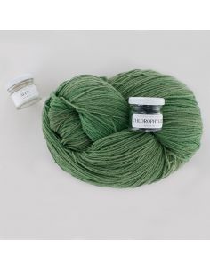 Kit de teinture végétale Chlorophylle