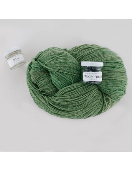 Kit de teinture végétale Chlorophylle