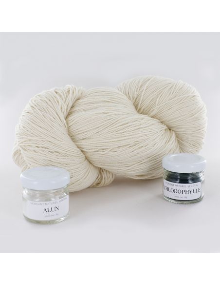 Kit de teinture végétale Chlorophylle