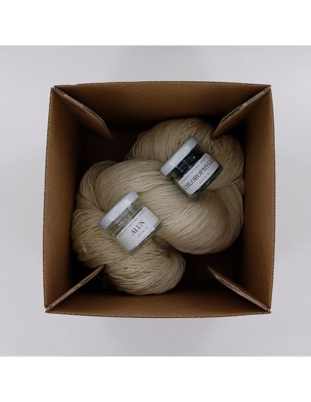 Kit de teinture végétale Chlorophylle