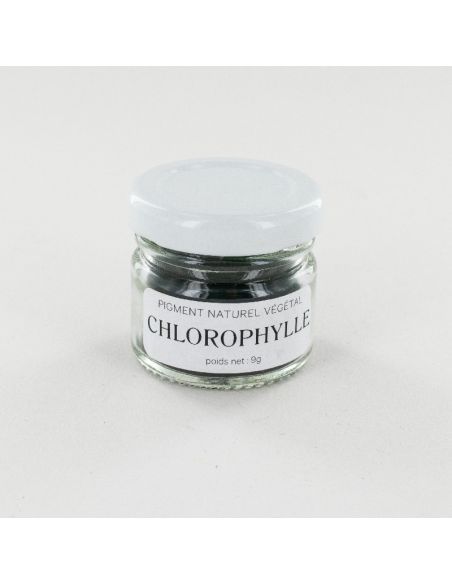 Kit de teinture végétale Chlorophylle