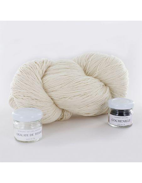 Kit de teinture végétale Cochenille