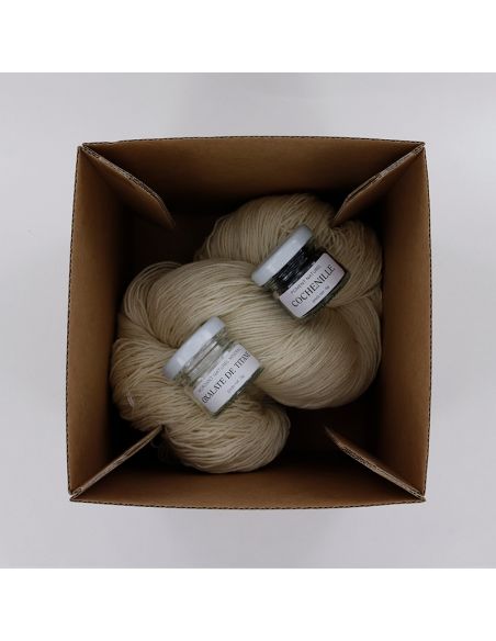 Kit de teinture végétale Cochenille